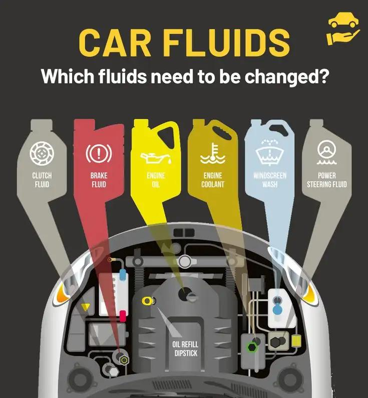 Fluids service
